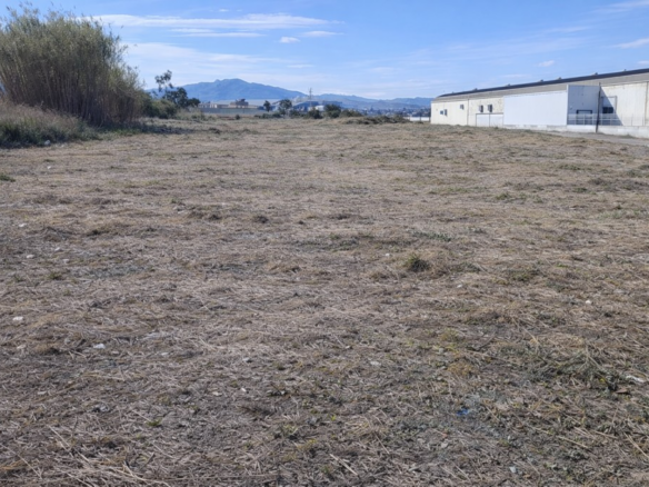 Imagen 2 de Solar industrial de Obra Nueva en Venta en Molina De Segura Murcia