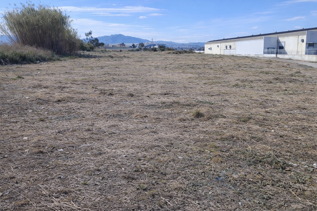 Imagen 2 de Solar industrial de Obra Nueva en Venta en Molina De Segura Murcia