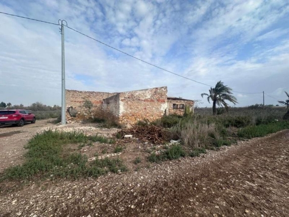Imagen 2 de Venta de terreno rural en Crevillente