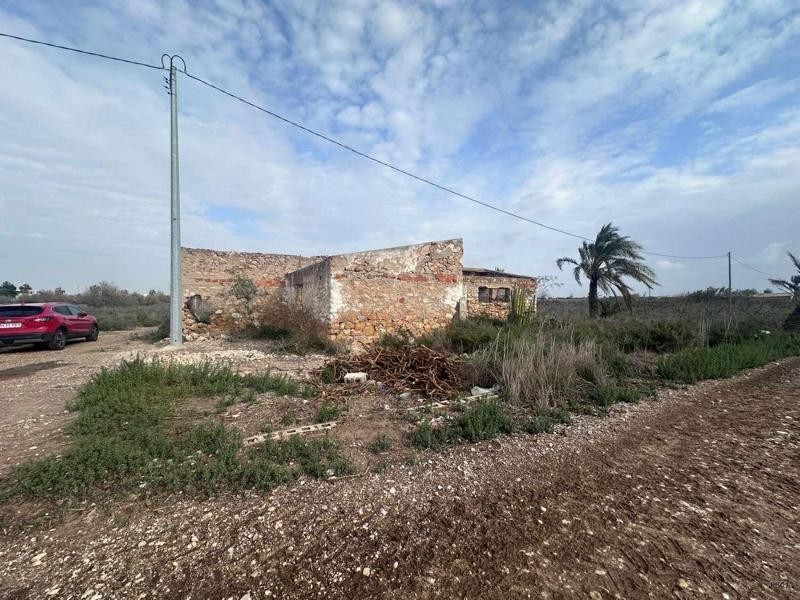 Imagen 2 de Venta de terreno rural en Crevillente