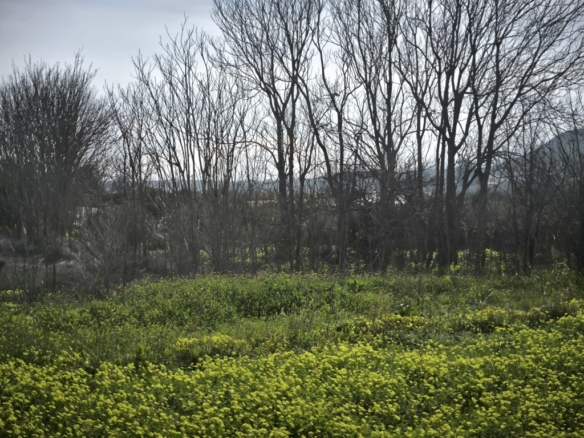 Imagen 2 de Suelo rústico en Venta en Gador Almería