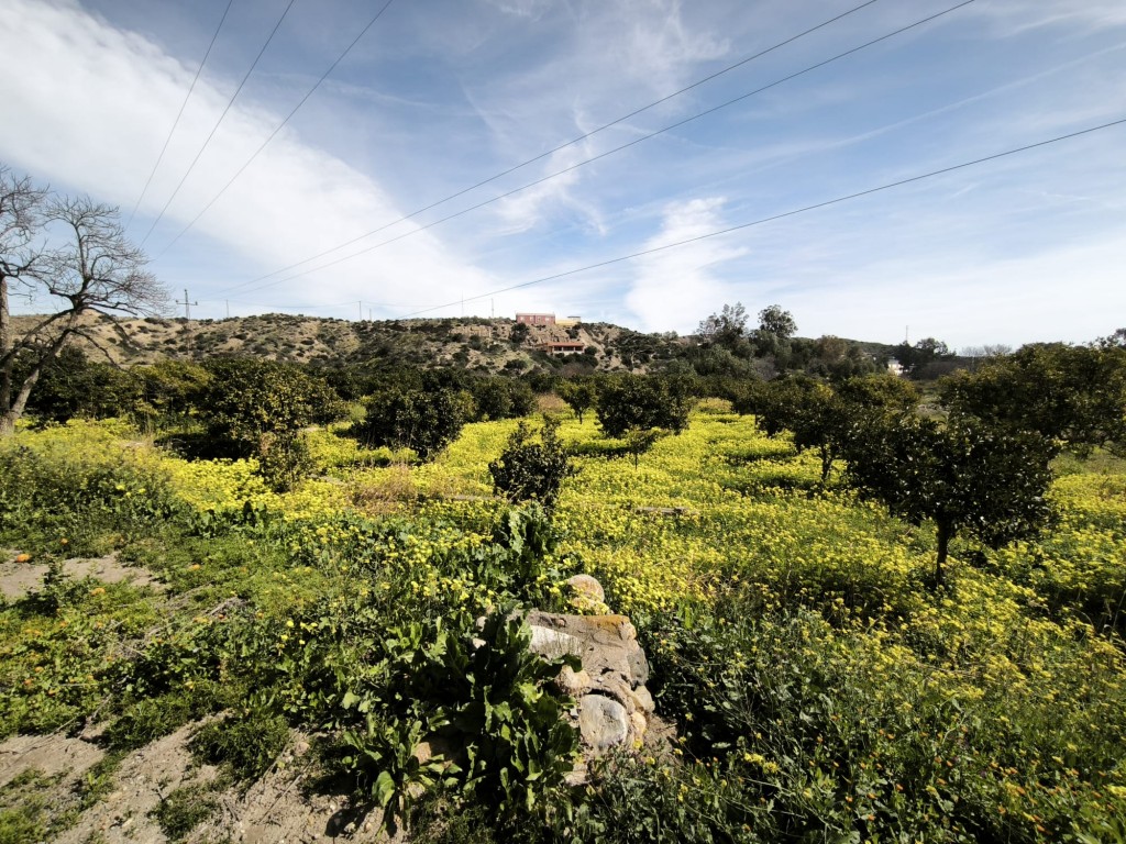 Imagen 3 de Suelo rústico en Venta en Gador Almería