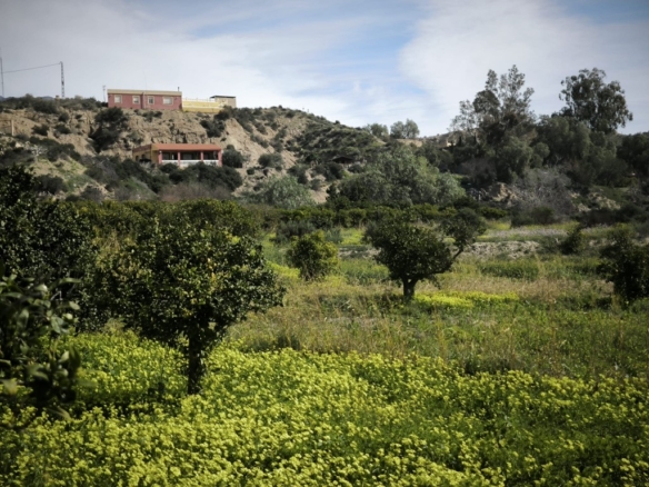 Imagen 4 de Suelo rústico en Venta en Gador Almería