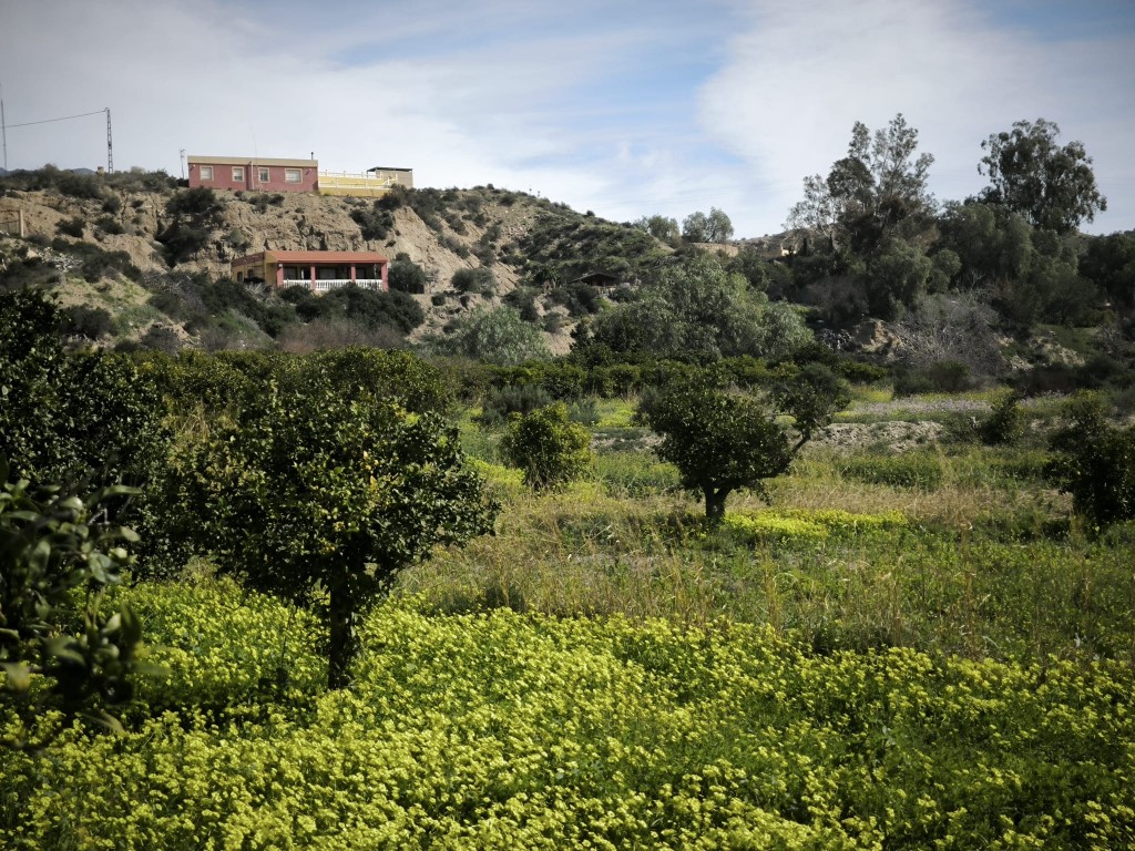 Imagen 4 de Suelo rústico en Venta en Gador Almería