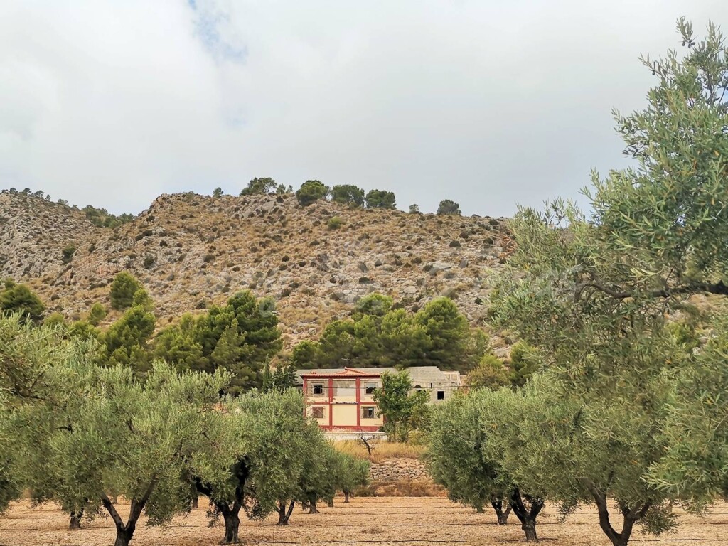 Imagen 3 de Casa-Chalet en Venta en Salinas Alicante