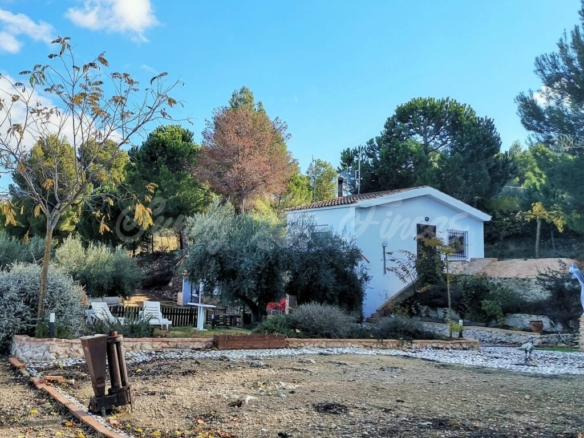 Imagen 2 de Casa de campo-Masía en Venta en Biar Alicante