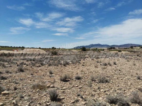 Imagen 2 de Suelo rústico en Venta en Pinoso Alicante