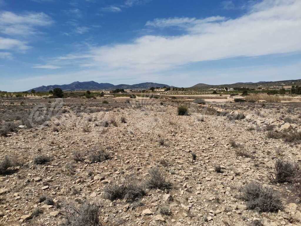 Imagen 3 de Suelo rústico en Venta en Pinoso Alicante