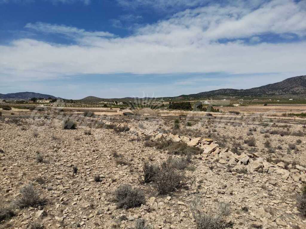 Imagen 4 de Suelo rústico en Venta en Pinoso Alicante