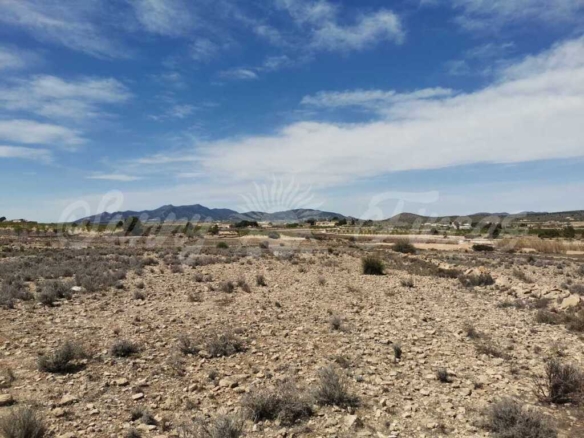 Imagen 1 de Suelo rústico en Venta en Pinoso Alicante