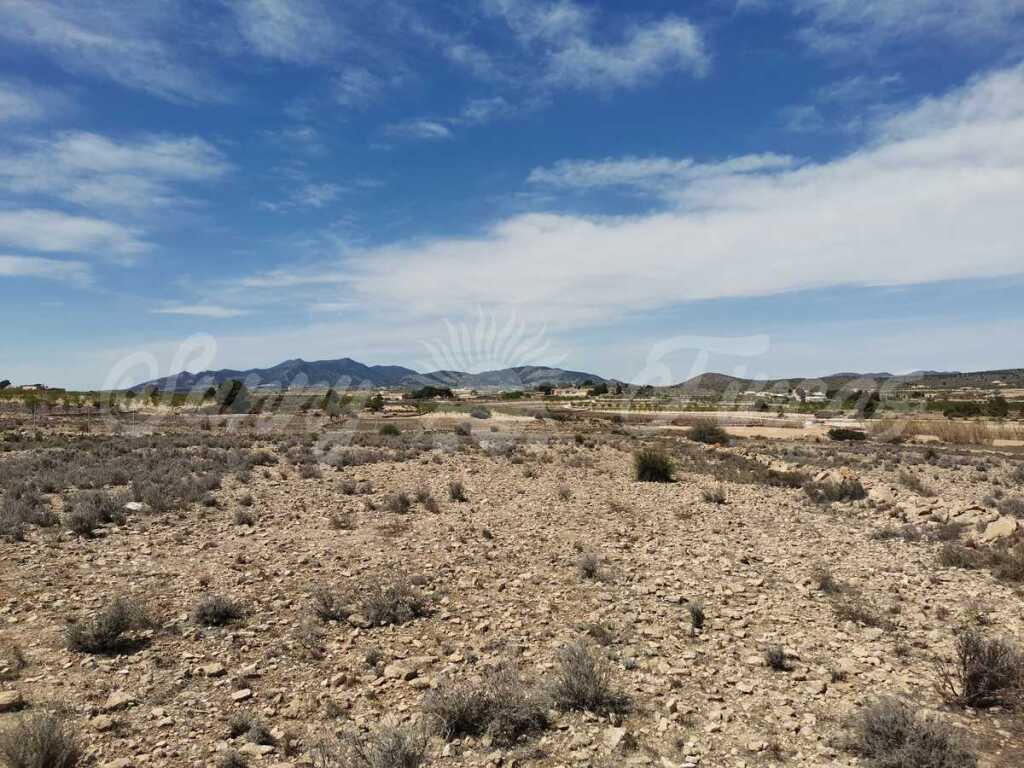 Imagen 1 de Suelo rústico en Venta en Pinoso Alicante