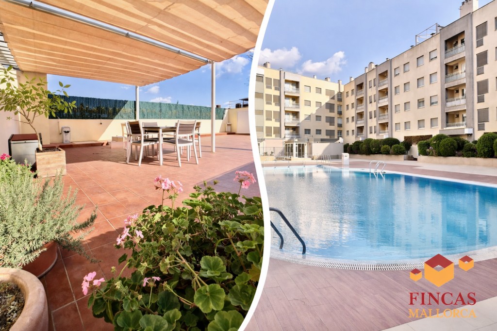 Imagen 1 de Ático en Venta en Palma De Mallorca Baleares L'OLIVERA - AMANECER