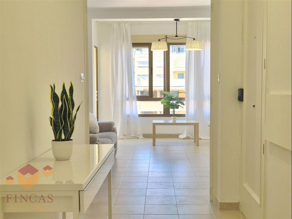 Imagen 4 de Piso en Venta en Palma De Mallorca Baleares LA MISSIO MERCAT