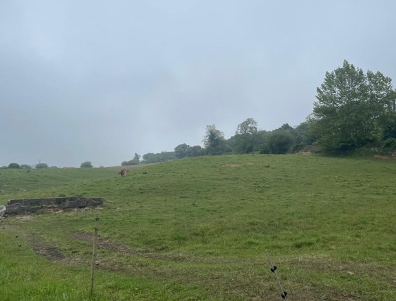 Imagen 4 de Casa-Chalet en Venta en Santillana Del Mar Cantabria