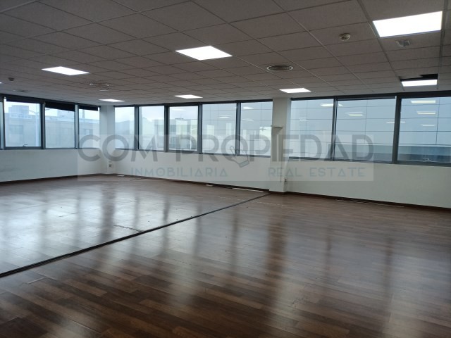 Imagen 3 de Oficina en Alquiler en Palma De Mallorca Baleares CIUDAD ANTIGUA