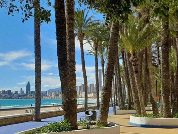 Imagen 1 de Local comercial en Venta en Benidorm Alicante