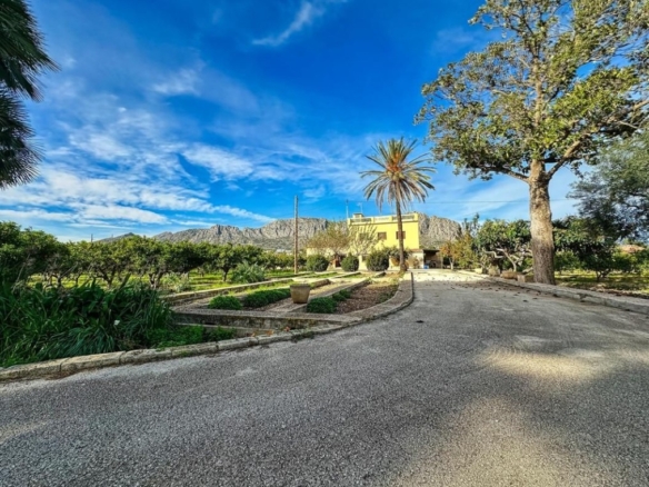 Imagen 3 de Casa-Chalet en Venta en Beniarbeig Alicante