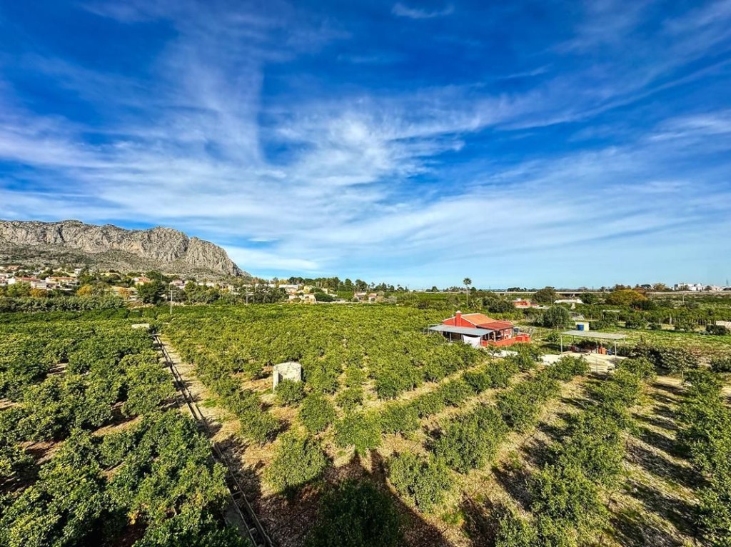 Imagen 4 de Casa-Chalet en Venta en Beniarbeig Alicante