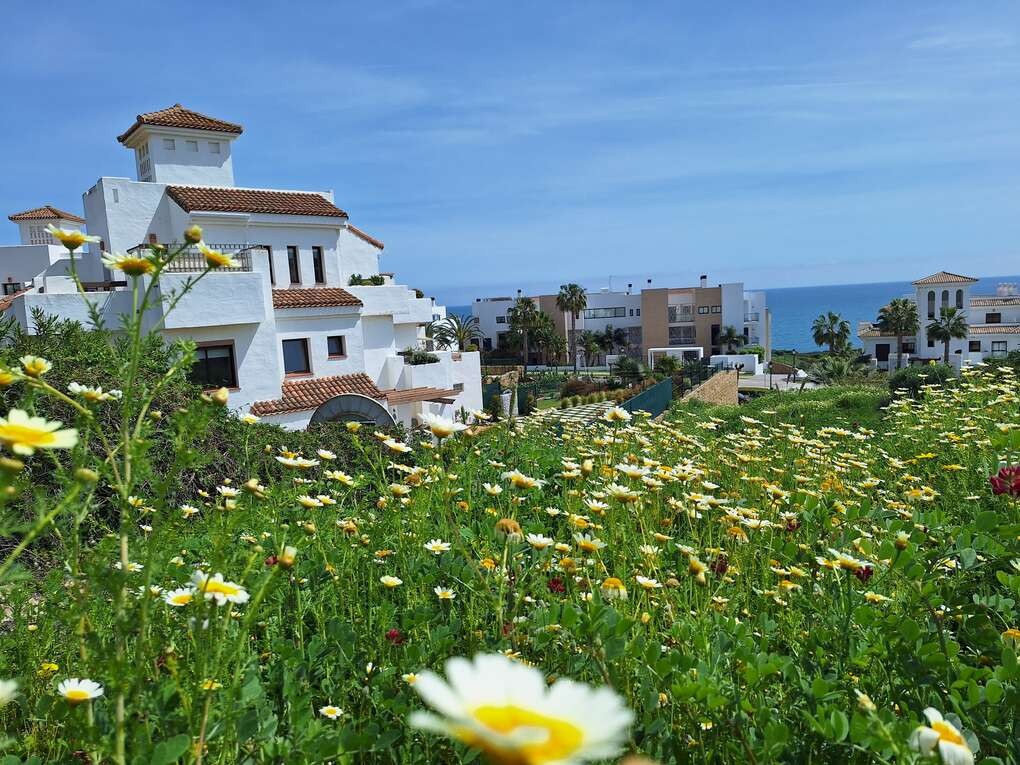 Imagen 1 de Apartamento en Alquiler en San Roque Cádiz
