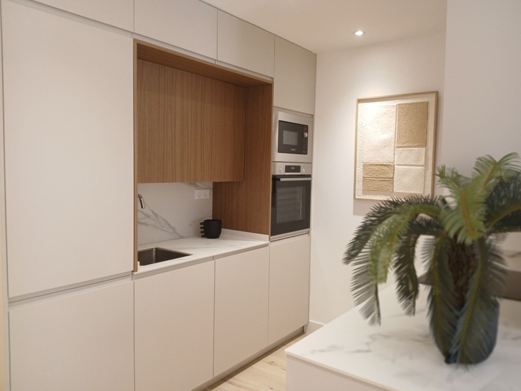 Imagen 4 de Velzquez