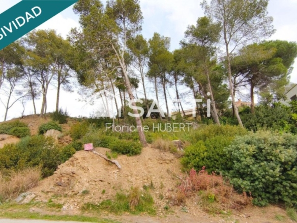 Imagen 1 de TERRENO GRANDE APTO PARA CONSTRUIR 2 VIVIENDAS EN ST BARTOMEU DE LA QUADRA