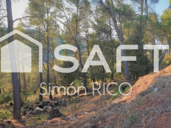 Imagen 2 de TERRENO RESIDENCIAL SOLEADO DE 914M2 EN CERVELLÓ.