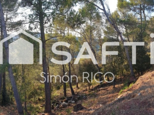 Imagen 3 de TERRENO RESIDENCIAL SOLEADO DE 914M2 EN CERVELLÓ.