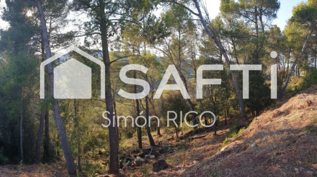 Imagen 3 de TERRENO RESIDENCIAL SOLEADO DE 914M2 EN CERVELLÓ.