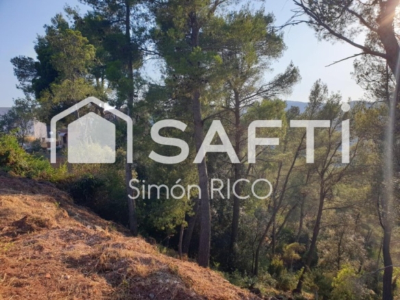 Imagen 4 de TERRENO RESIDENCIAL SOLEADO DE 914M2 EN CERVELLÓ.