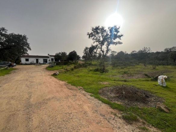 Imagen 3 de Magnífica finca rústica en El Ronquillo!!!