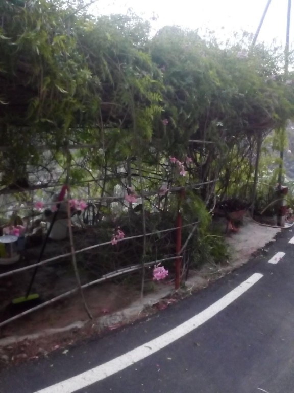 Imagen 2 de Encantadora Casa Cueva en Tejeda - ¡Tu refugio natural te espera! ??