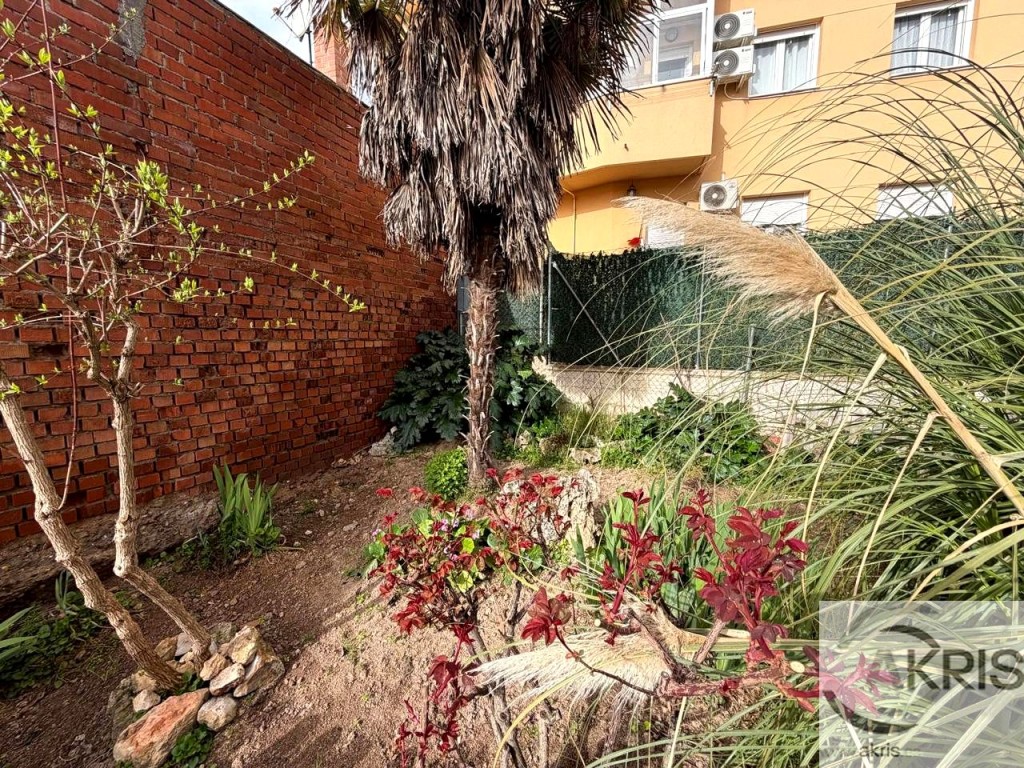 Imagen 4 de Pareado en el casco de Villarejo de Salvanés