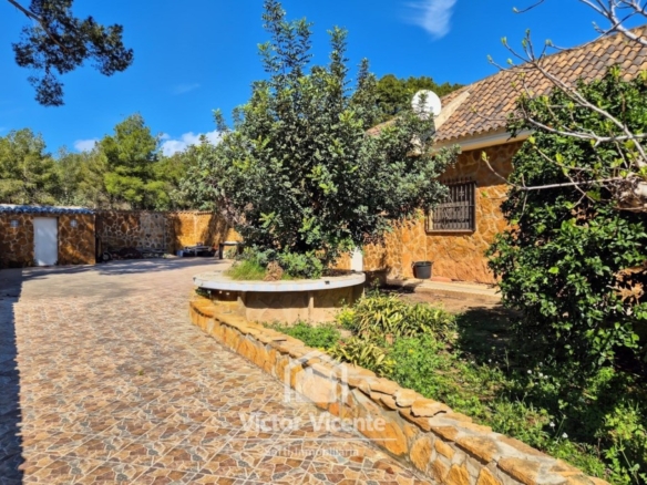 Imagen 3 de Gran chalet independiente de una sola planta