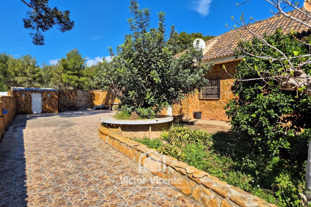 Imagen 3 de Gran chalet independiente de una sola planta