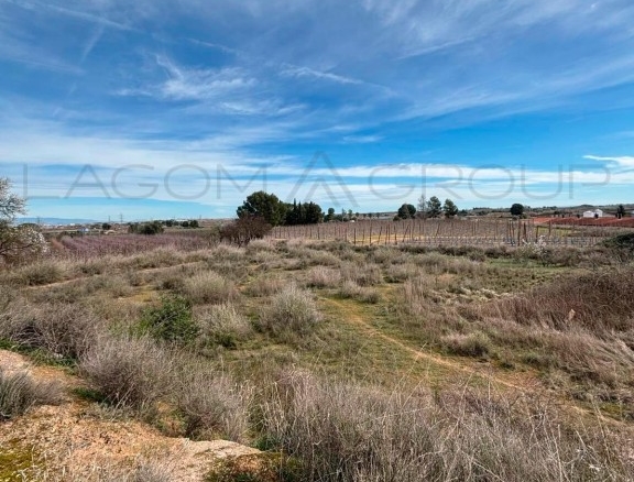Imagen 1 de Venta de espectacular finca de regadío en Albatàrrec