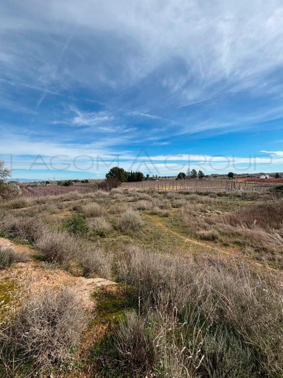 Imagen 1 de Venta de espectacular finca de regadío en Albatàrrec