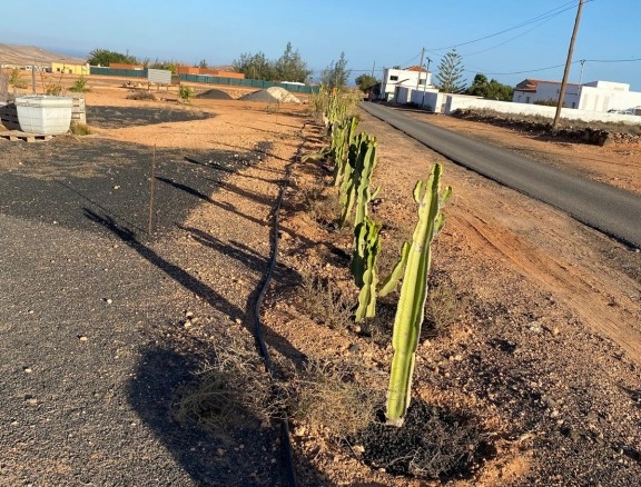 La (Puerto Del Rosario) Las Palmas