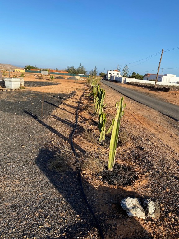 La (Puerto Del Rosario) Las Palmas
