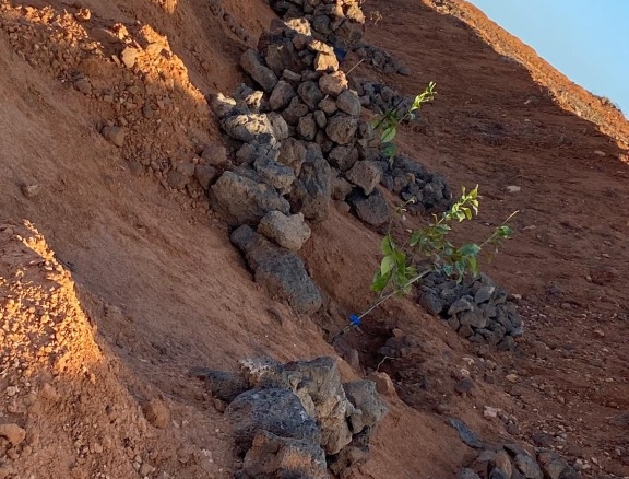 La (Puerto Del Rosario) Las Palmas