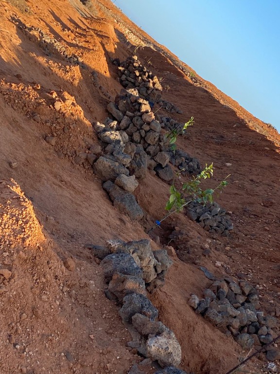 La (Puerto Del Rosario) Las Palmas