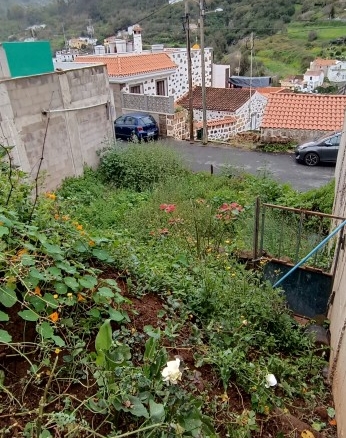 Imagen 2 de Solar urbano en Venta en Teror Las Palmas
