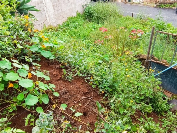 Imagen 3 de Solar urbano en Venta en Teror Las Palmas