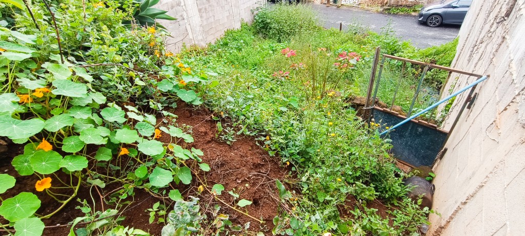 Imagen 3 de Solar urbano en Venta en Teror Las Palmas