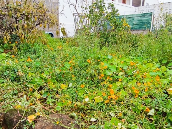 Imagen 4 de Solar urbano en Venta en Teror Las Palmas