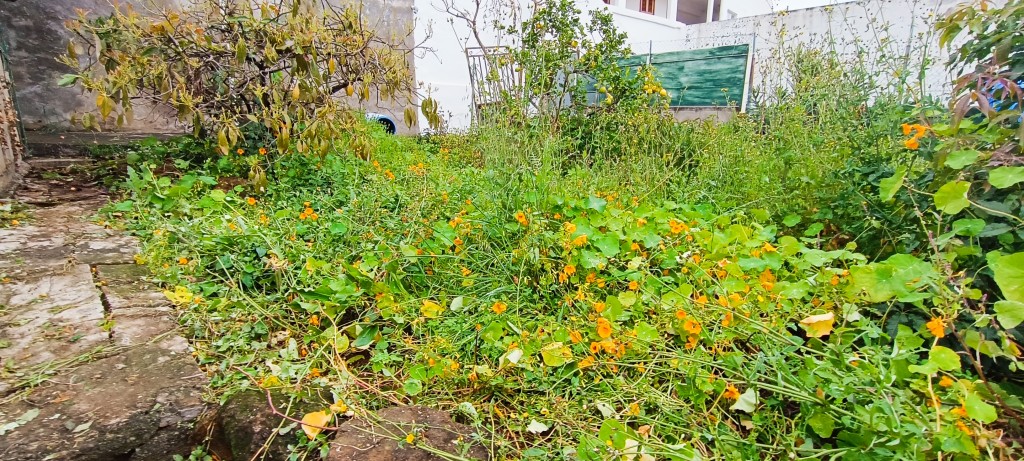 Imagen 4 de Solar urbano en Venta en Teror Las Palmas