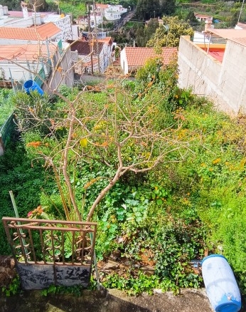 Imagen 1 de Solar urbano en Venta en Teror Las Palmas