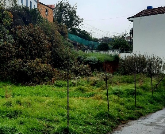 Imagen 3 de Solar urbano en Venta en Teror Las Palmas