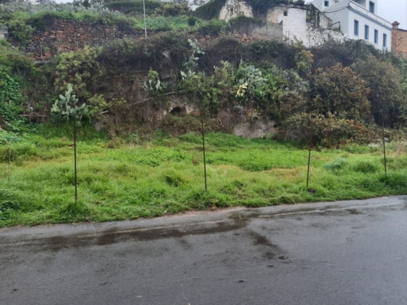 Imagen 1 de Solar urbano en Venta en Teror Las Palmas