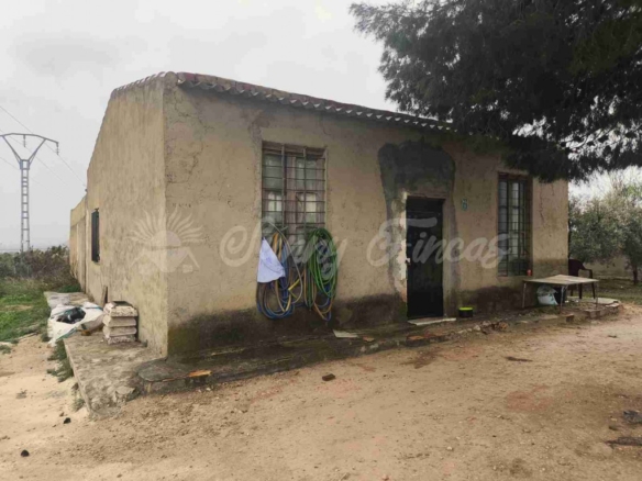 Imagen 2 de Casa de campo-Masía en Venta en Monovar-Monover Alicante