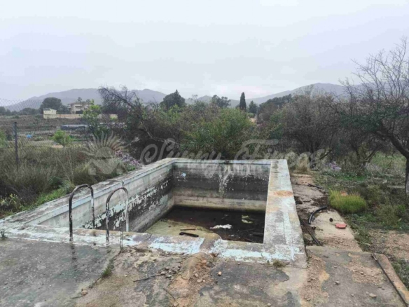 Imagen 3 de Casa de campo-Masía en Venta en Monovar-Monover Alicante